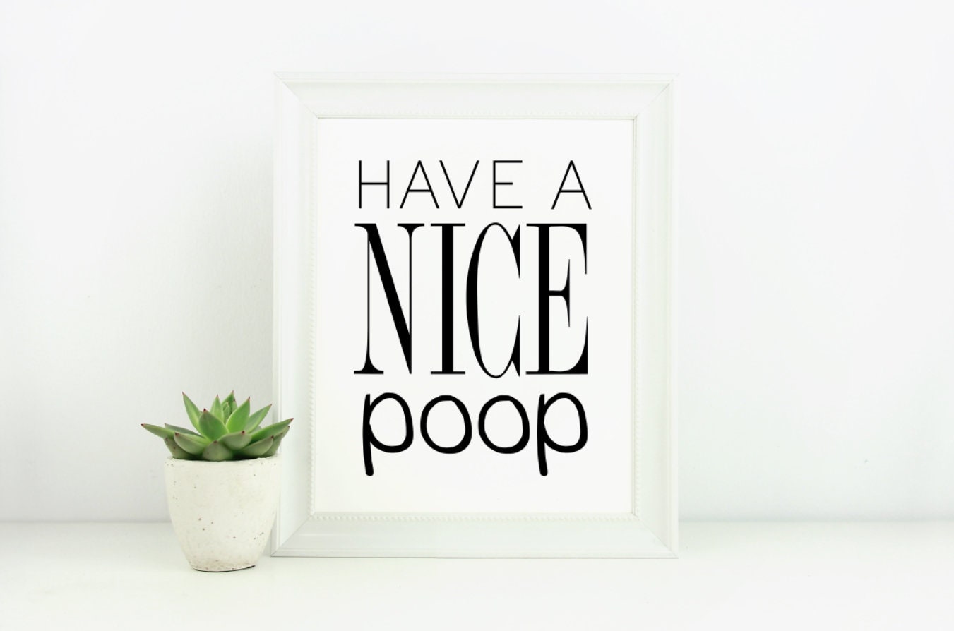 Have a Nice Poop poster print, bathroom wall art, bathroom signs, bathroom wall decor, black & white, Funny, housewarming gift